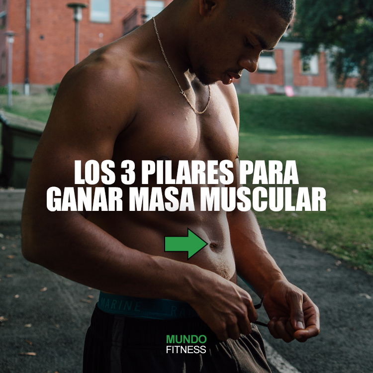_MundoFitness's tweet photo. ¿Quieres aumentar masa muscular?💪
Sigue estos 3 pilares en tus entrenos, cuida tu alimentación y tu descanso y los resultados llegarán por si solos.
Visita nuestro blog para más: https://t.co/Jiz4iBo4K6
#MundoFitness #BodyBuilding #MassGaining #MasaMuscular #Bulking https://t.co/Q0s2a3f2AJ