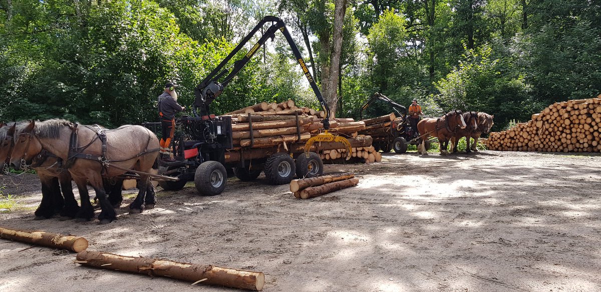 fjallman's tweet photo. Eco friendly forestry work at Vårgårda Golf Club https://t.co/D7cEe8PBnL