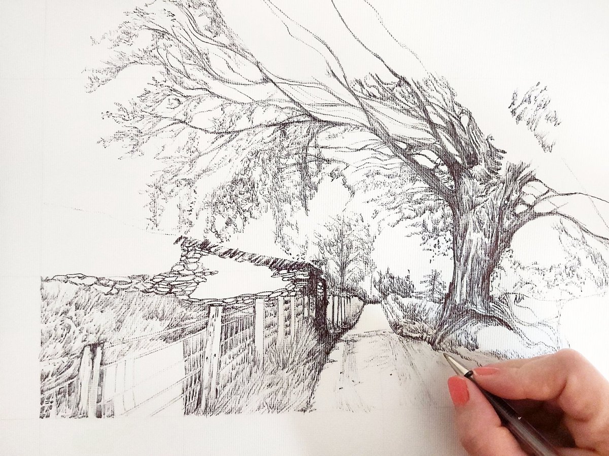 K_athrynWilson's tweet photo. Beech tree in progress 

#Lakedistrict #Cumbria #fineart #drawing #Beech #tree https://t.co/F1Q6ErHOfW