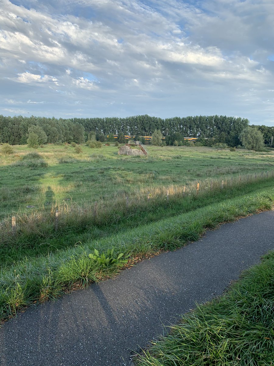 Dag 3/7 #mylifeinpictures. Genomineerd door @papohnepudding. Geen woorden, geen mensen