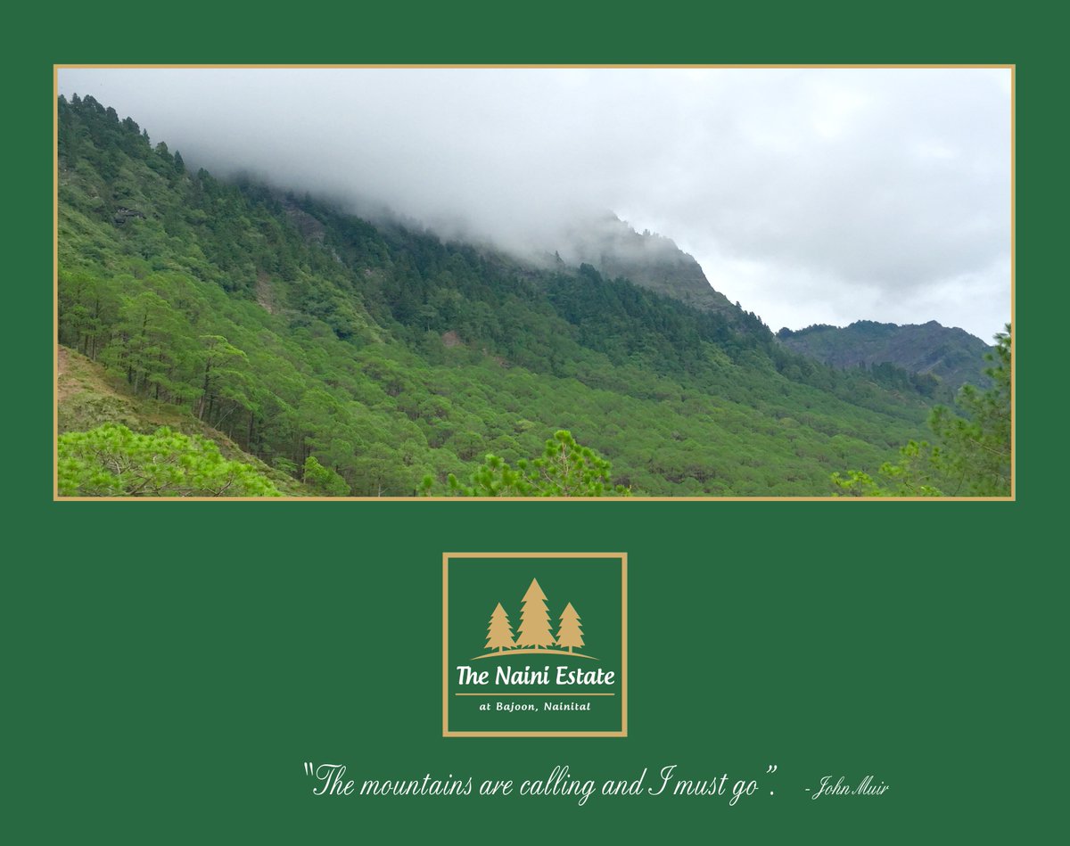 thenainiestate's tweet photo. Scenic Views from The Naini Estate! 
.
.
#TheNainiEstate #HomeintheHills #LuxuryCottages #Uttrakhand #Himalayas #ViewsweLove #Hills #Mountains #BookingsOpen #LoveforMountains #Nainital #Bajoon #India #Travel https://t.co/W99agl2wyI