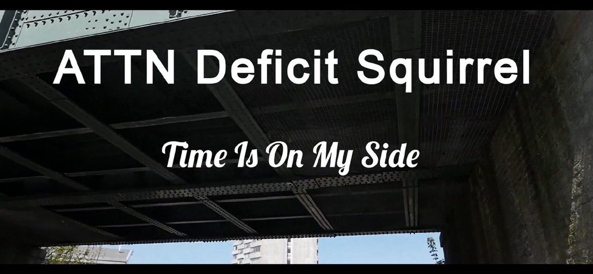 ADSquirrel's tweet photo. Two weeks from today, the premiere of #AttnDeficitSquirrel’s music video for “Time Is On My Side” - stay tuned for more info! https://t.co/pVi3OJ5KyP