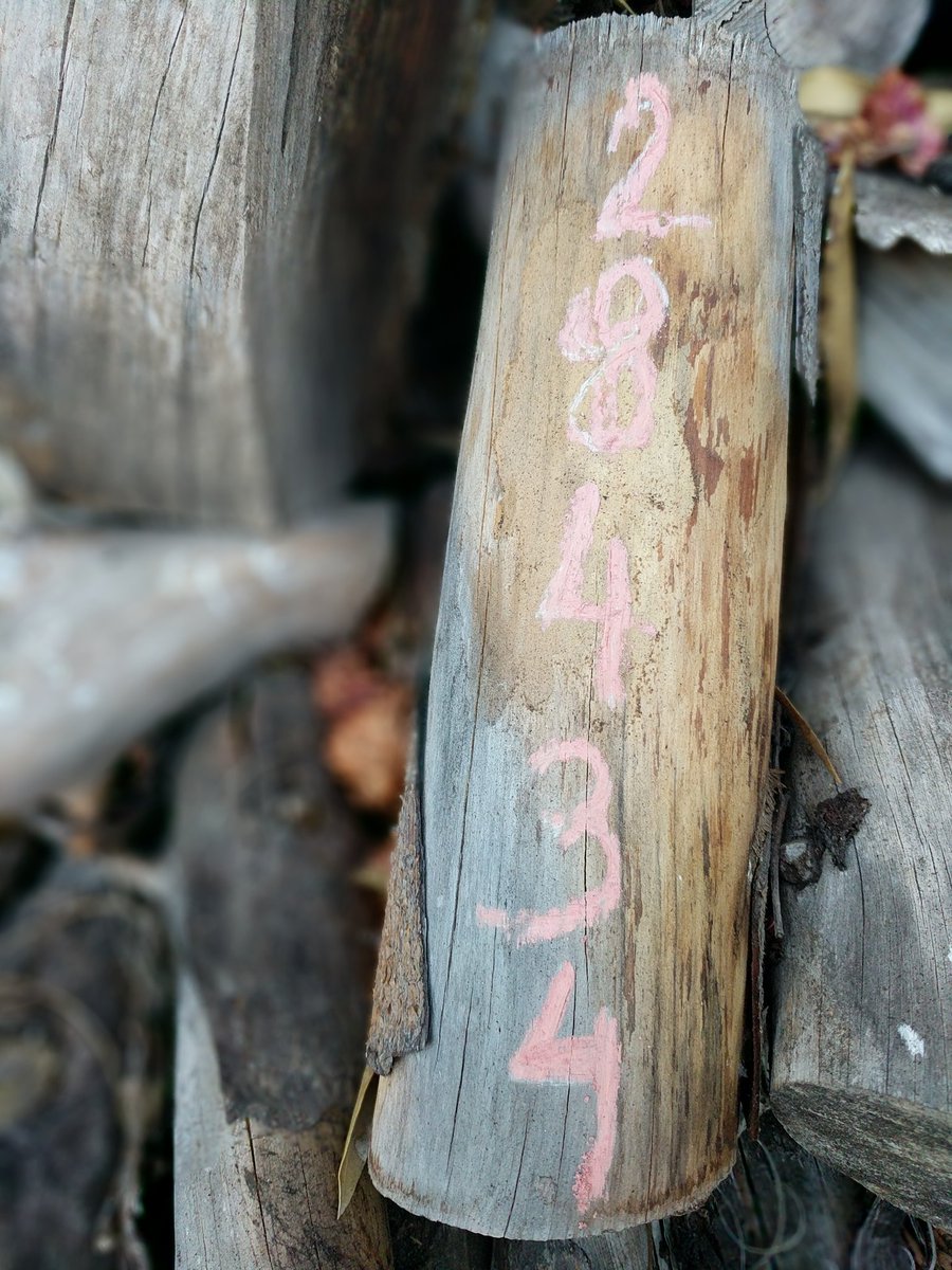 GustavoMazAres's tweet photo. ¿28.434? Fallecidos por #covid19españa según cifras oficiales. ~50.000 según contabilizaciones varias

2'84km recorridos hoy. Otro kilo más a donar a comedores sociales

#NoSonUnNumero
#BurnForThemChallenge https://t.co/dZYGgseENX
