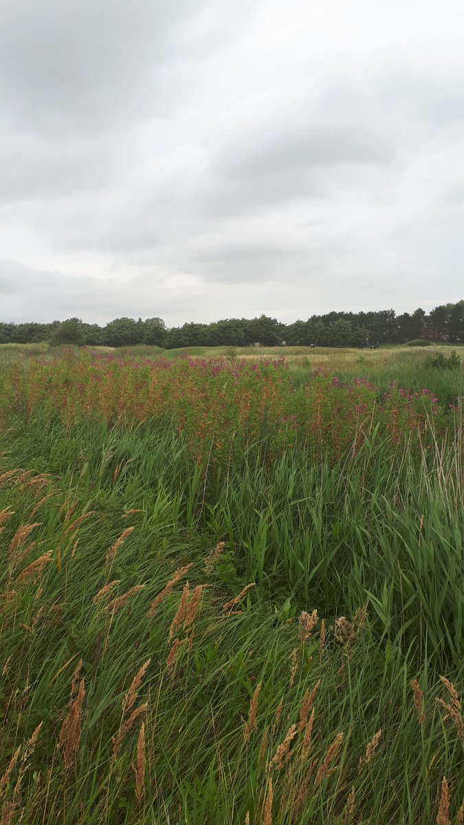 Heerlijk genieten op Texel, rondje gewandeld