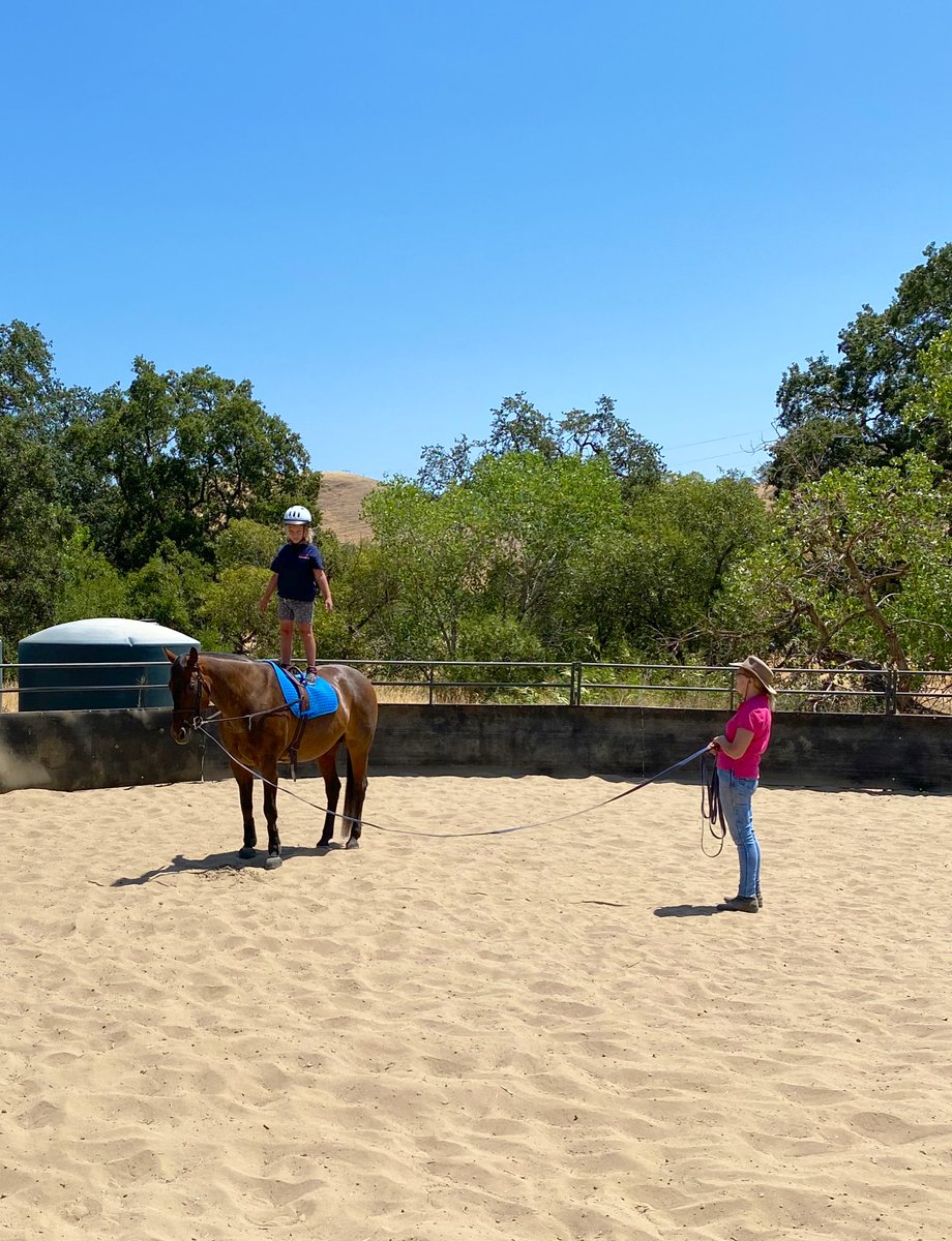 This weekend was all about turning off the screens and getting dirty. little guy conquered his fear and rode for the first time. My older son pushed himself to new limits under Grandma‘s careful eye.  #adventureawaits