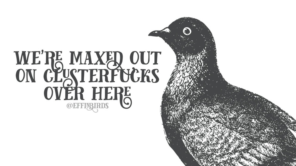 EffinBirds's tweet photo. https://t.co/34evlkdUZ2