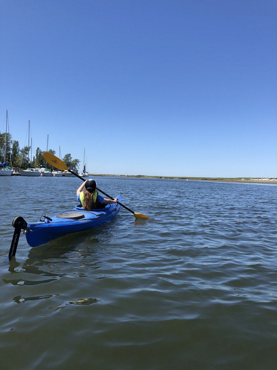 Cara Hardt tweet media