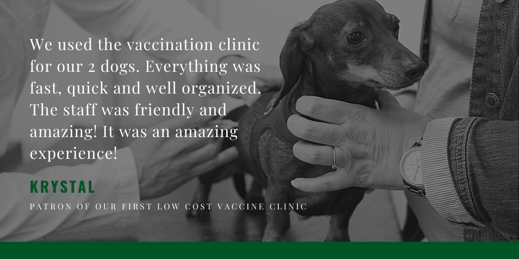 We are now offering affordable, age-appropriate vaccinations against Distemper, Parvovirus, Rabies and other potentially life-threatening diseases. Learn more here: chemungspca.org/vaccine-clinic…