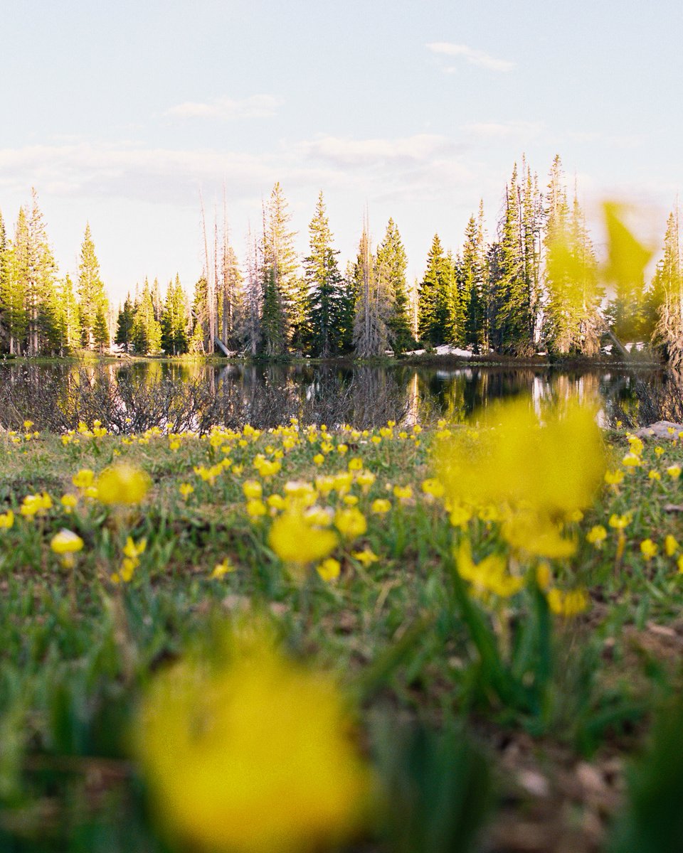 Some 35mm film from the Snowy Mountains in Southeast WY. One of the most tranquil places I've ever been to.