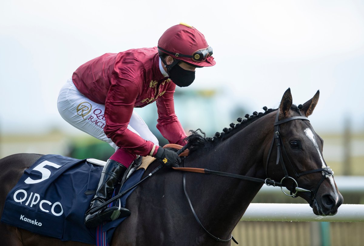 qipco sussex stakes betting 2022 nfl qipco sussex stakes betting 2022 nfl