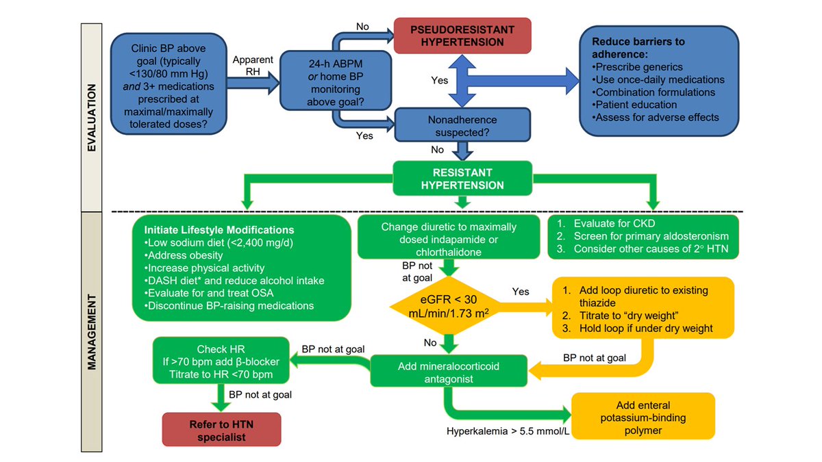 AREMIM4's tweet photo. Recomendaciones en el tratamiento de la hipertensión resistente🩺: Tratar causas secundarias🧑‍⚕️, cambios en estilo de vida🧂🥗🏃‍♀️, optimizar tratamiento diurético💦 y considerar antagonistas mineralocorticoides💊
Revisión del @AJKDonline Disponible en: https://t.co/kO26kCPeCp https://t.co/eQwIf7Cfuc