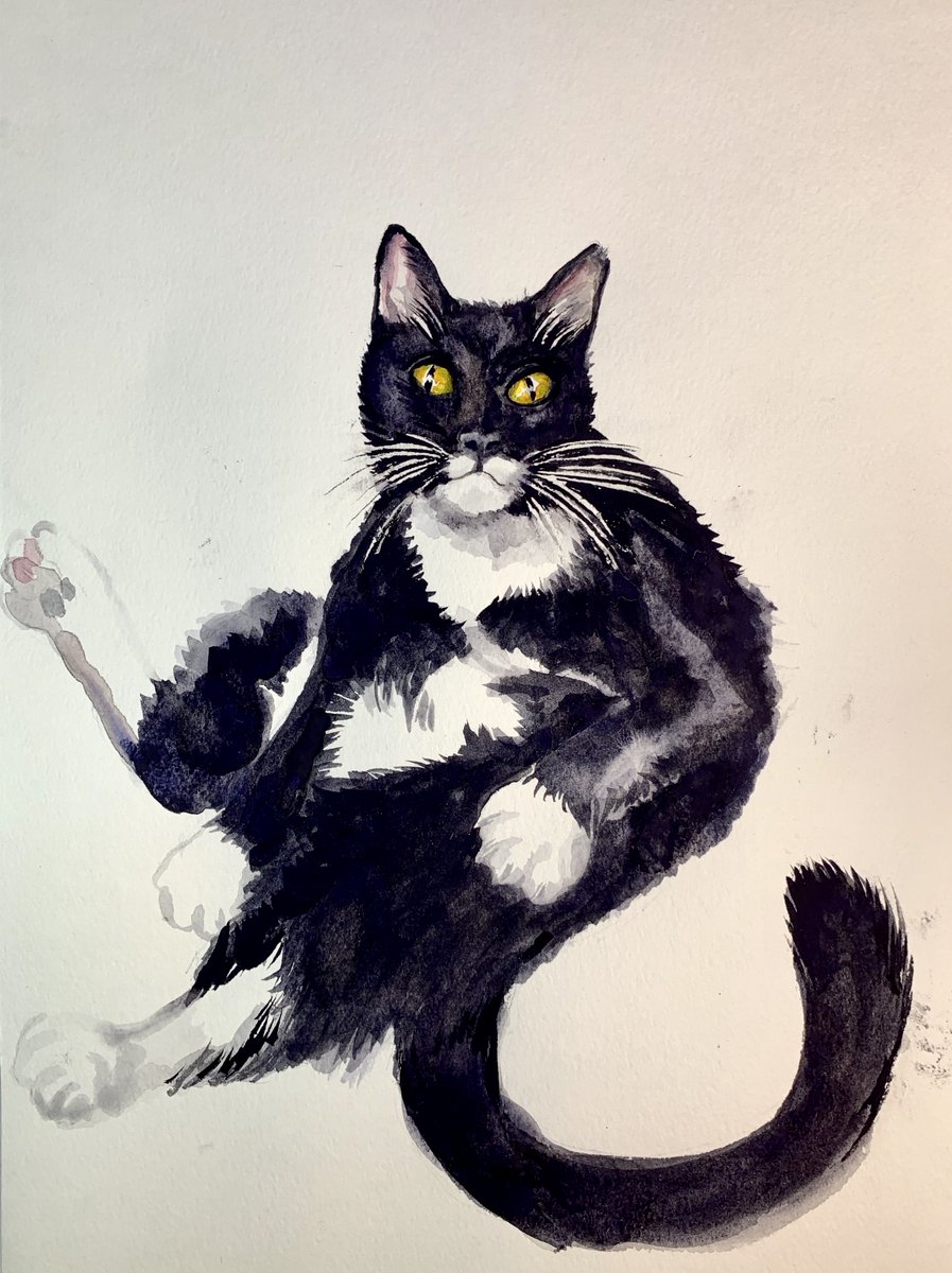 kylecassidy's tweet photo. I just got the first painting of Stabatha!!! It's by New York children's book illustrator Mia Wolff! Thanks to everyone helping to get work to artists and find a home for this freaking amazing stray cat. #AdoptDontShop #Stabatha #CatBatman #JoltCola #art
https://t.co/grosPlutgg https://t.co/8fc8VL3yQh