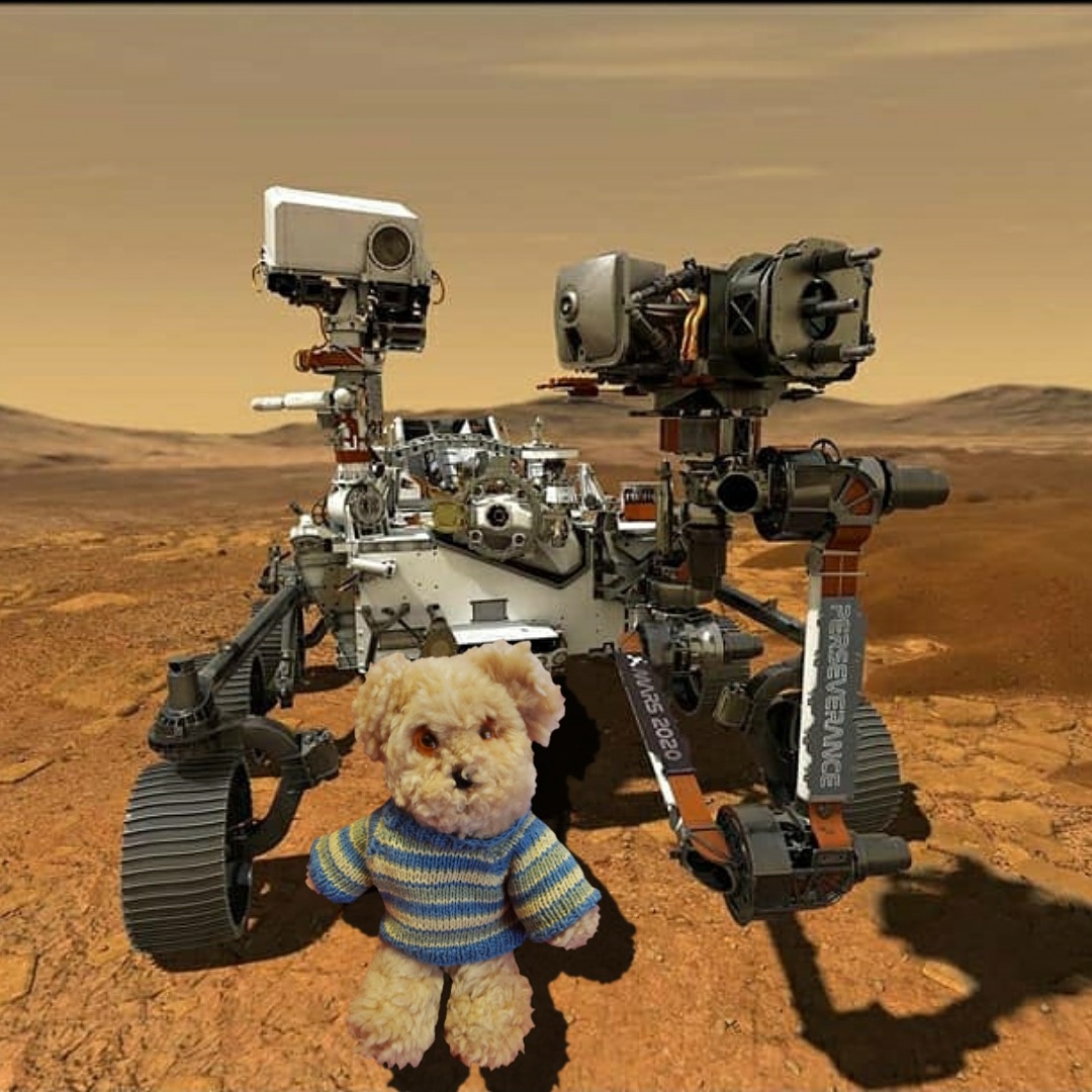 AstroKumas's tweet photo. #CountdownToMars #SpaceJunkClub #SmallBearsLoveScience #TheGoodShipWenceslas #ScienceBear #AstronomyBear #astronomy #AstroPhysics #MadeOfStarStuff #TheWholeThingIsATemple https://t.co/yDOoBdPW3r
