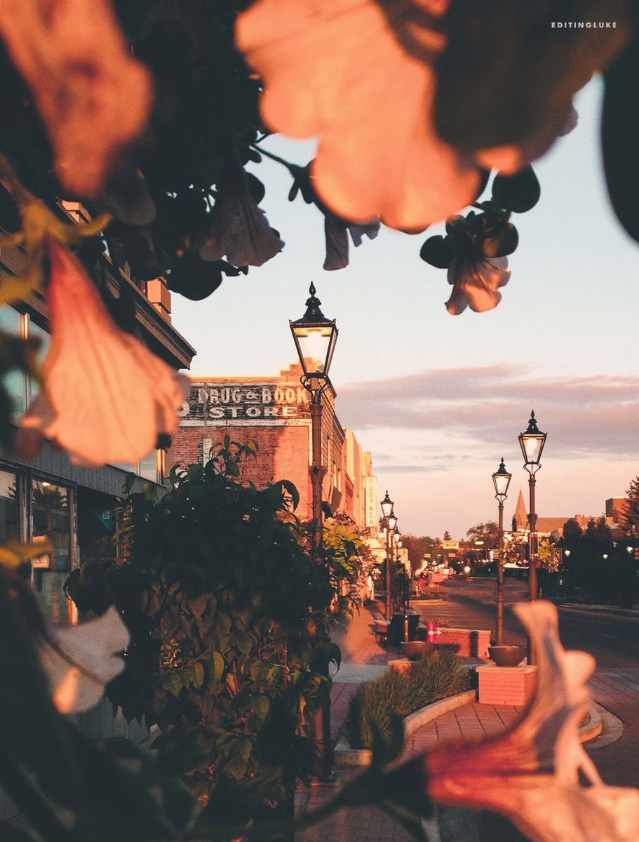 MHBrewCo's tweet photo. It's easy to forget to stop and appreciate your surroundings. Luckily we have the talented @Fandrix to remind us why we all call Medicine Hat home. Here's to our great city - we love it so much we named ourselves after it 😆

More of his Med Hat photos: https://t.co/88Ypwv1Gxe https://t.co/MKWaatRYv4