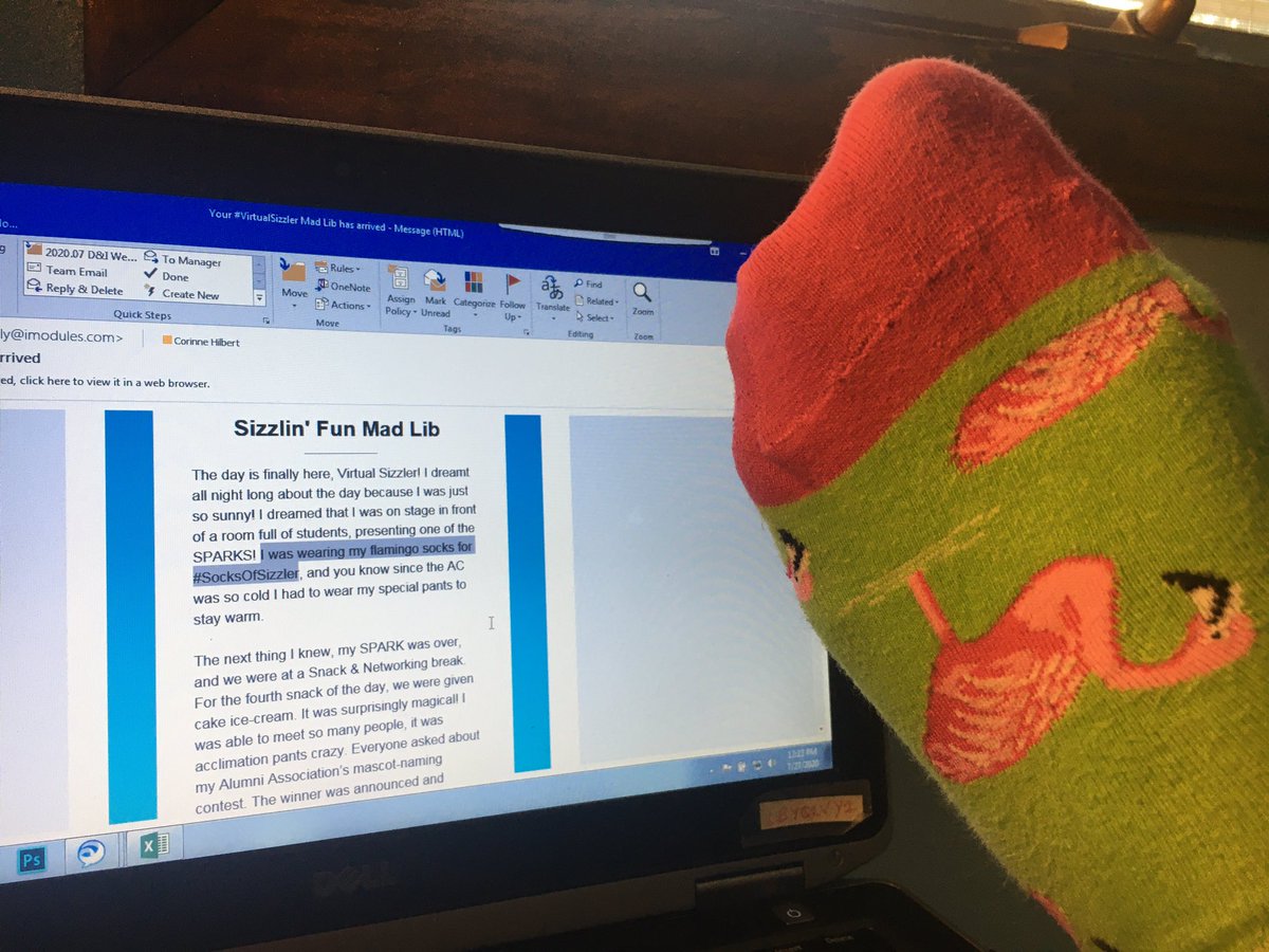 corinnehelene's tweet photo. When your #VirtualSizzler Madlib says “I was wearing my flamingo socks for #SocksOfSizzler” and I’m actually wearing my Flamingo socks! 🤣 Thank you for a fun day of tips, tricks and ALL THE DATA, @iModules! #SizzlinMad https://t.co/zYOLXfNFVC