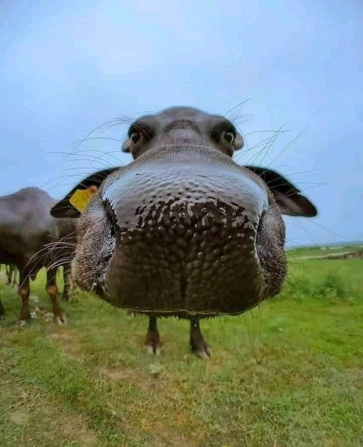 YasarKhanSafi4's tweet photo. Kia bana 1 million tweets ka,
Ho gaye delete 🙄🙄🙄
#ImranKhanPUBGKholo https://t.co/cncPnO1YO5