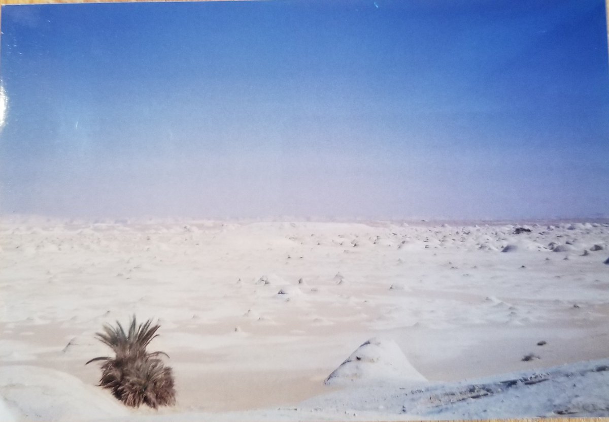 I miss travelling, 10: camping in the White Desert, western Egypt, near Farafra.