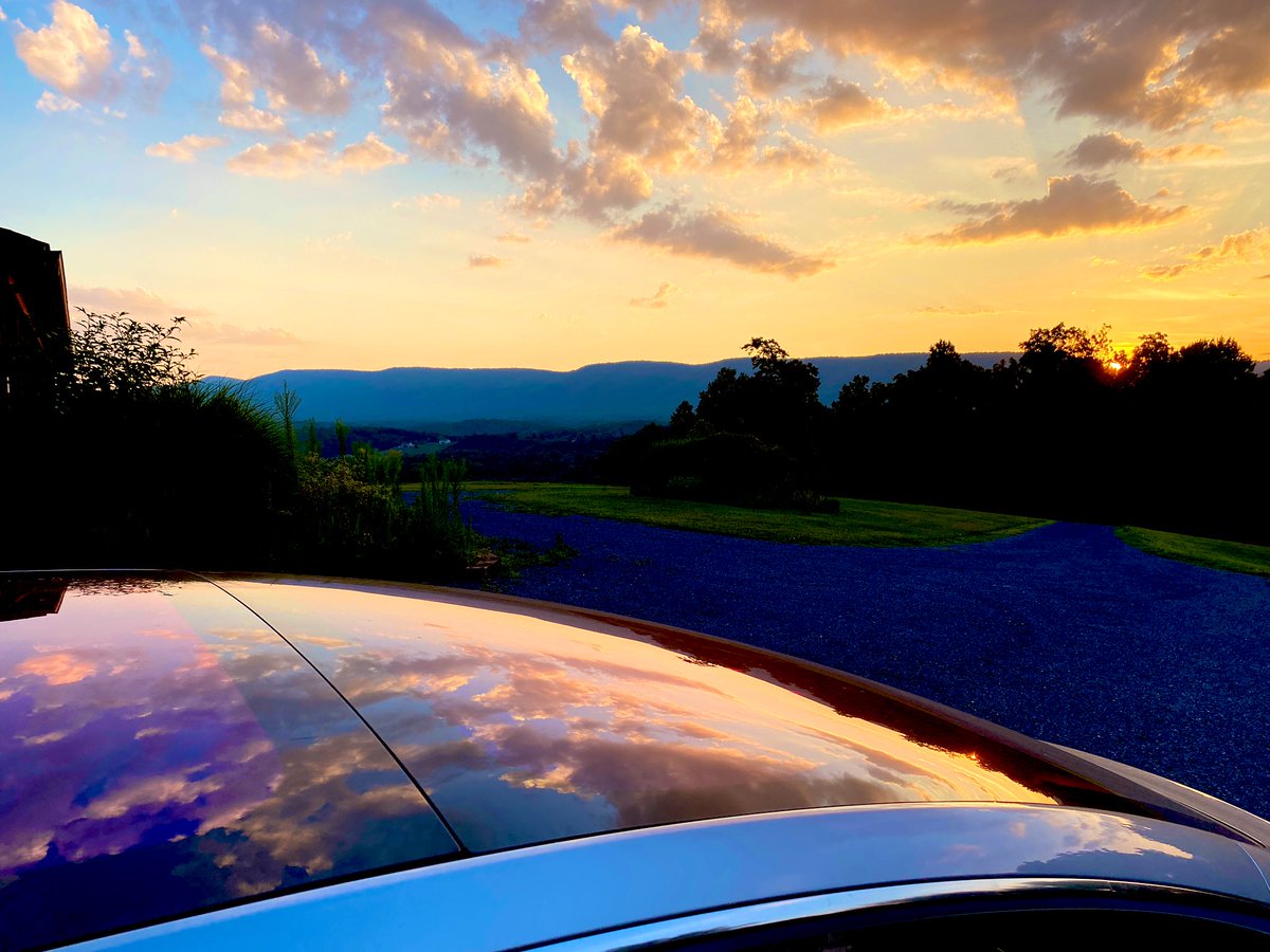 Lexi Heft tweet media