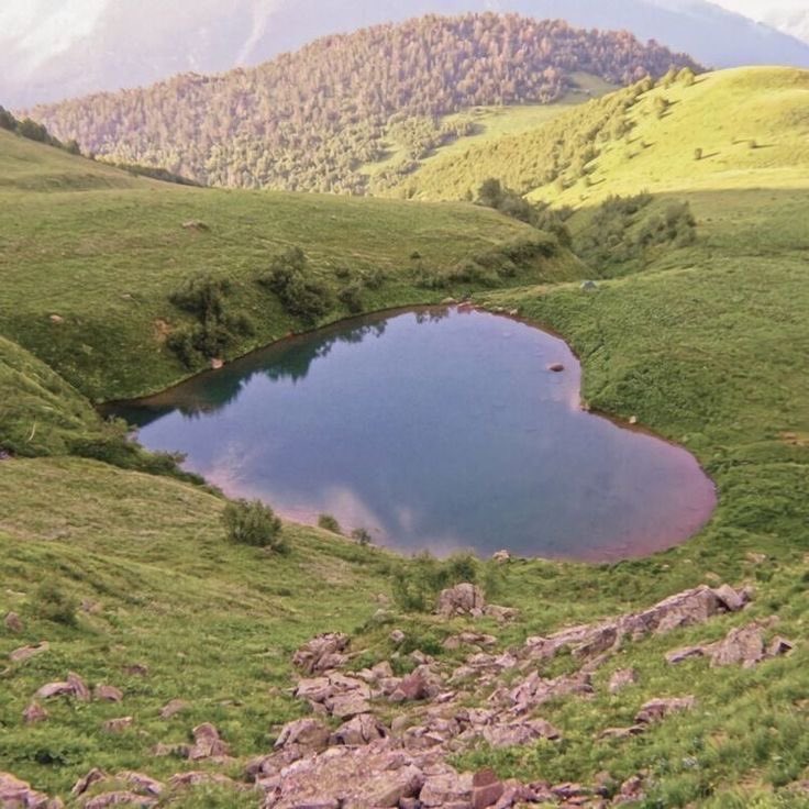 kenzhadley's tweet photo. what if we dug each other a heart lake https://t.co/PqGf1AQCZ9