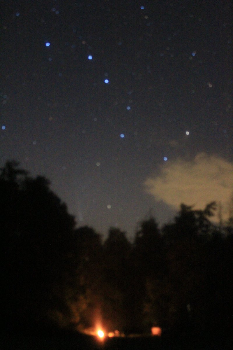 I like to spend my weekends
in the wild wood
just me and nature
a fire
the stars
and my cabin

#madverse
#MyPhoto