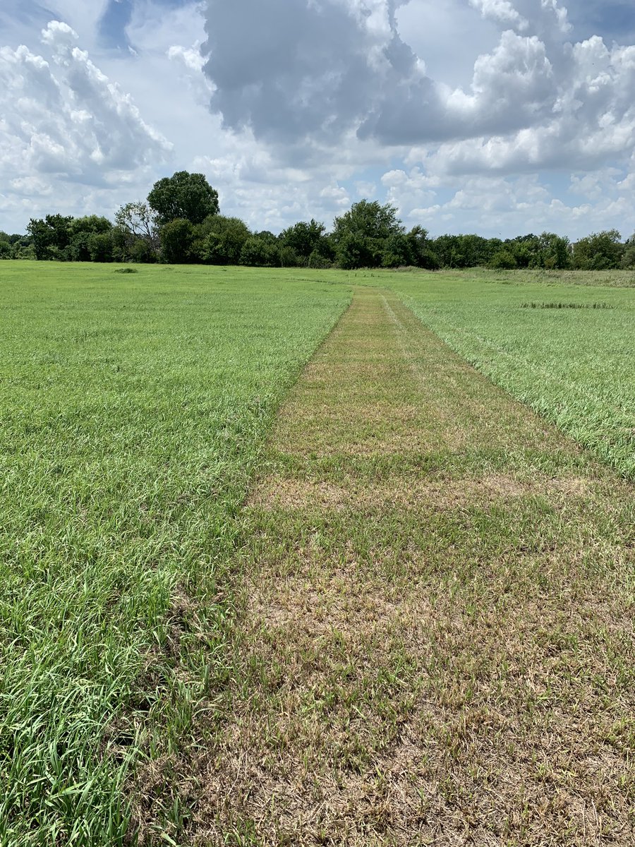McPherson_XCTF's tweet photo. Pics from McPherson XC course development last week!  Course is mowed and measured! https://t.co/tgoyO9Gl0c