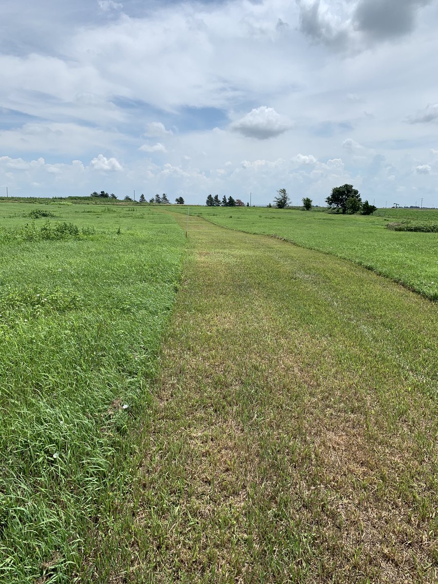 McPherson_XCTF's tweet photo. Pics from McPherson XC course development last week!  Course is mowed and measured! https://t.co/tgoyO9Gl0c