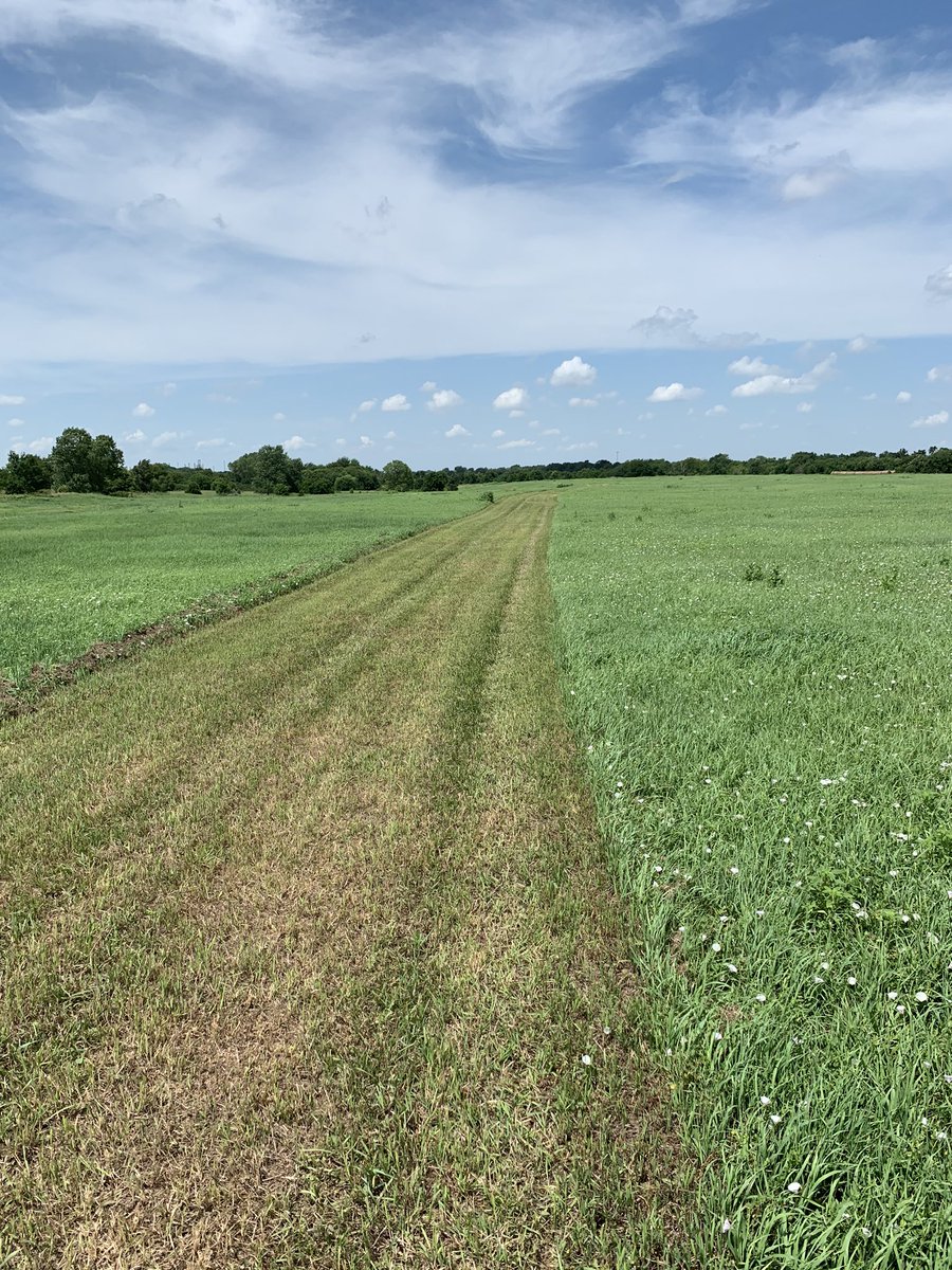 McPherson_XCTF's tweet photo. Pics from McPherson XC course development last week!  Course is mowed and measured! https://t.co/tgoyO9Gl0c