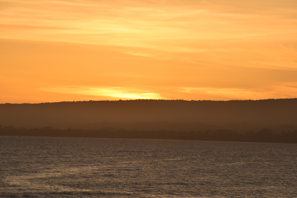 Whiteboywander1's tweet photo. Golden Sunset

#goldensunset #whiteboywanderlust https://t.co/zERbavfGq3