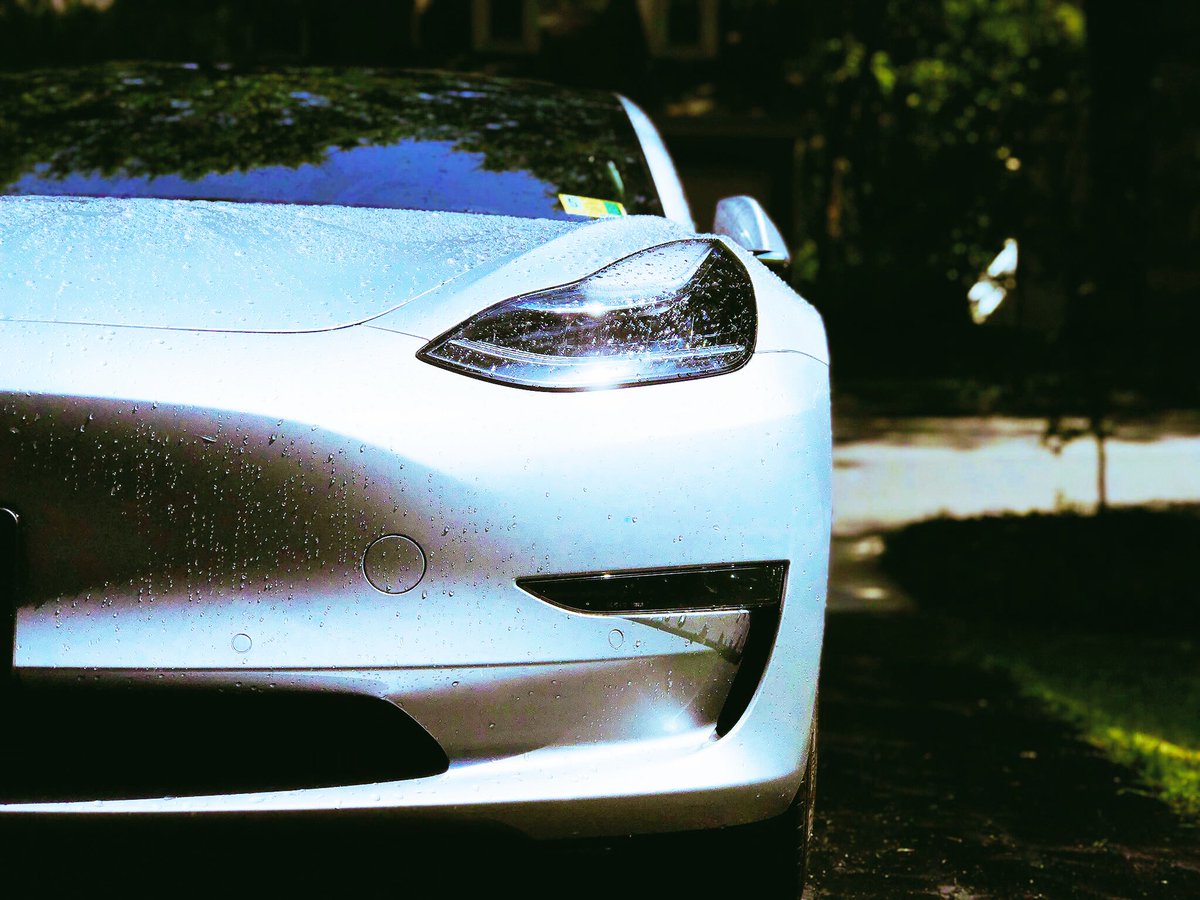 Lexi Heft tweet media