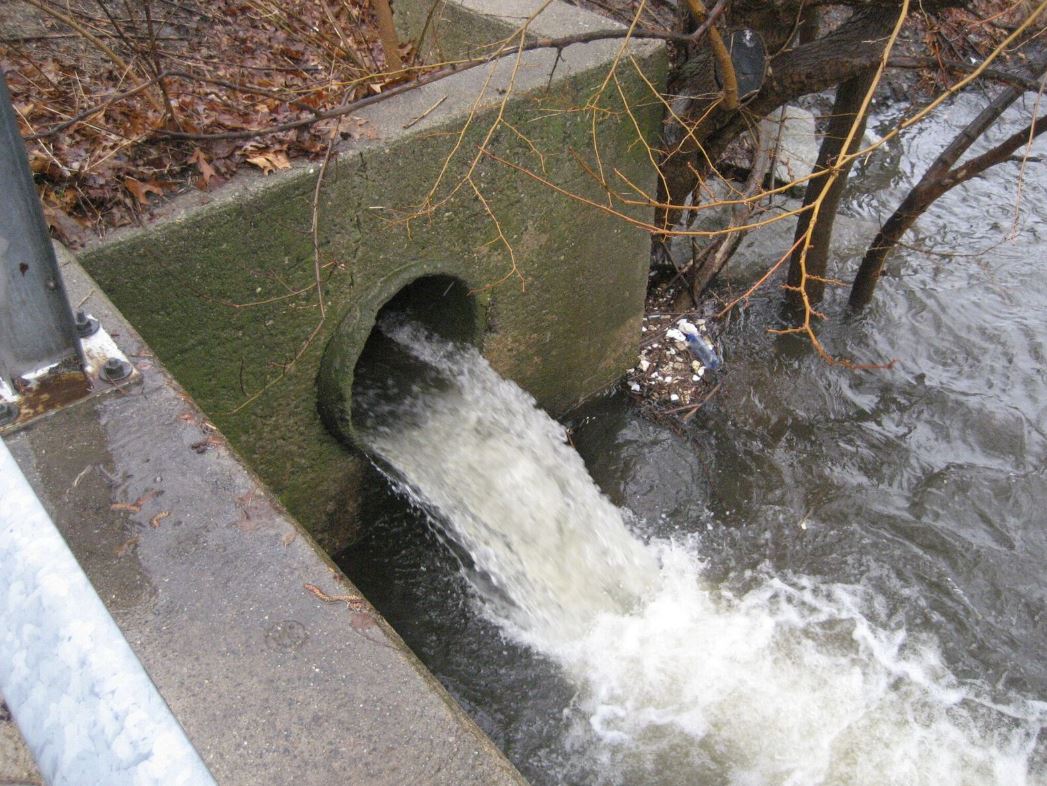 Mass Rivers Alliance tweet media