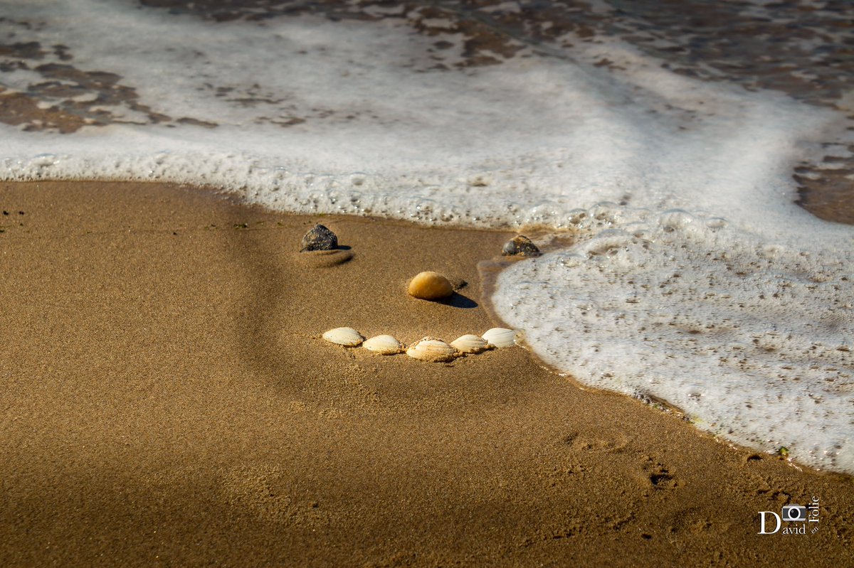 david_folie's tweet image. Quand tu joues avec des galets, des coquillages et l’océan.
Cela donne ça, dans ma douce folie.
#verdonsurmer #summer #été #creativité