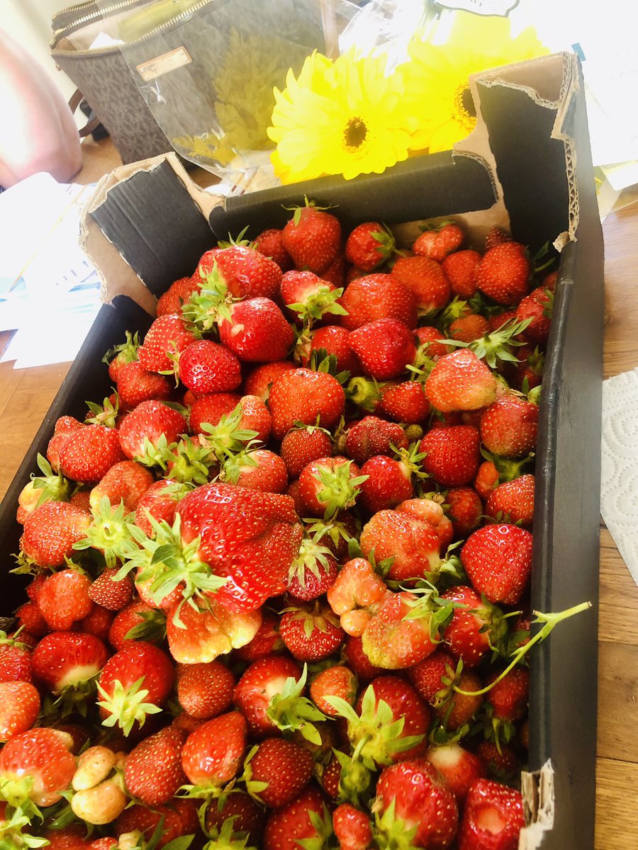 🥘+🌸+🌊+🍓 = #WestCork #WildAtlanticWay 🥰