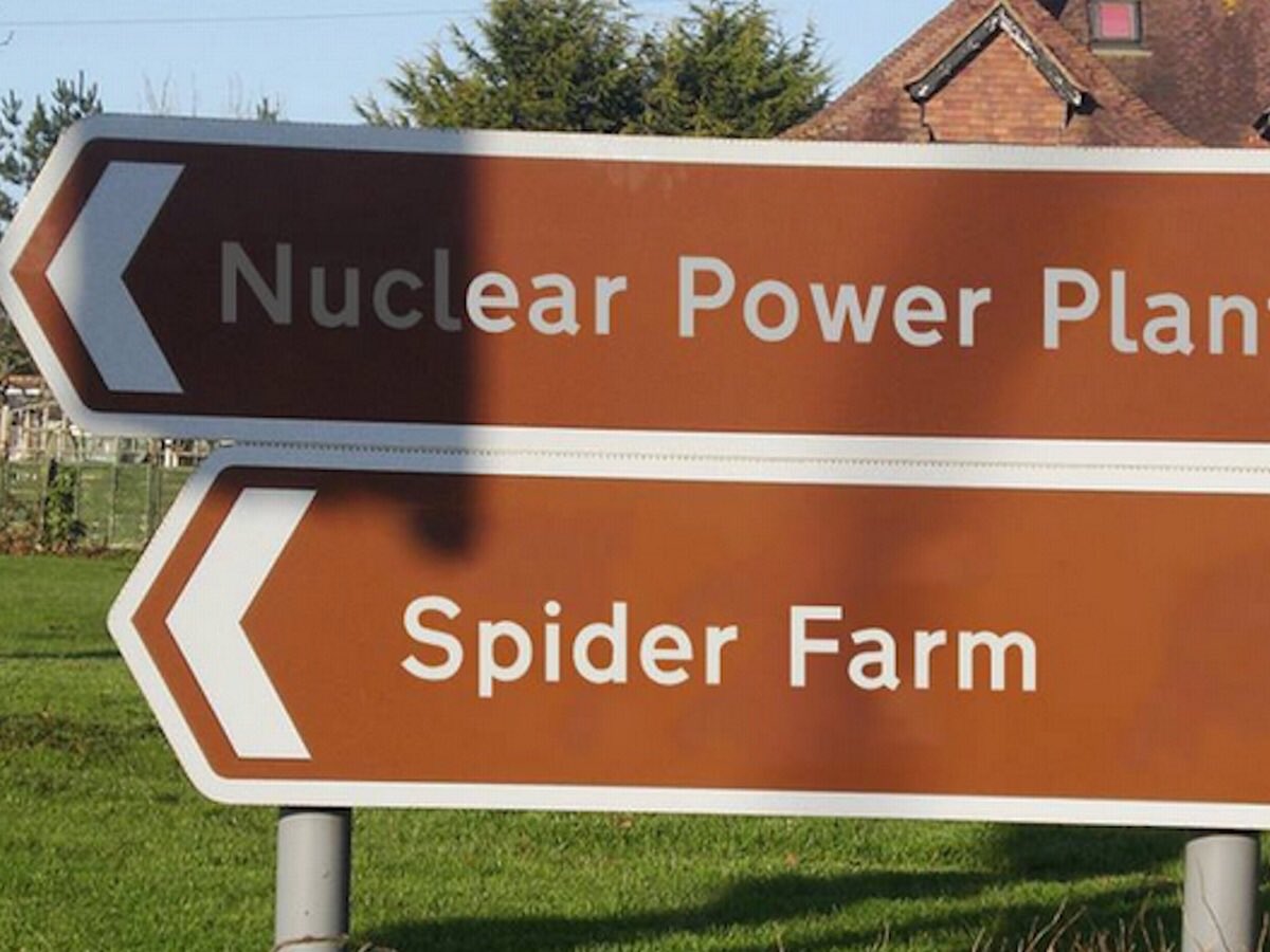 TheWildling's tweet photo. I predict there will be an uptake in spider heroes in this universe if just the slightest thing goes wrong…
#MultiverseExploration https://t.co/uyOP7X1zgc