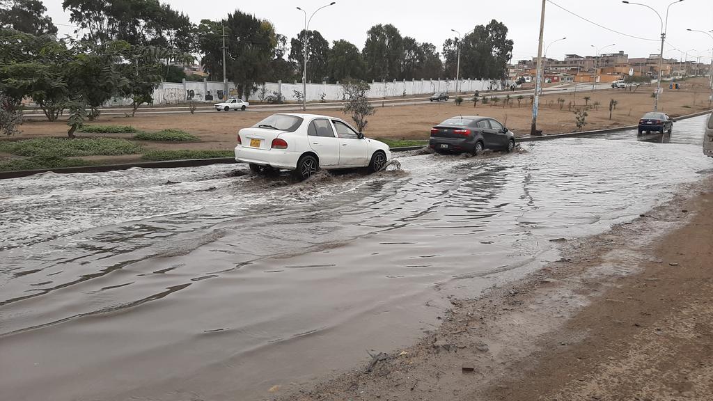 Fernando david tweet media