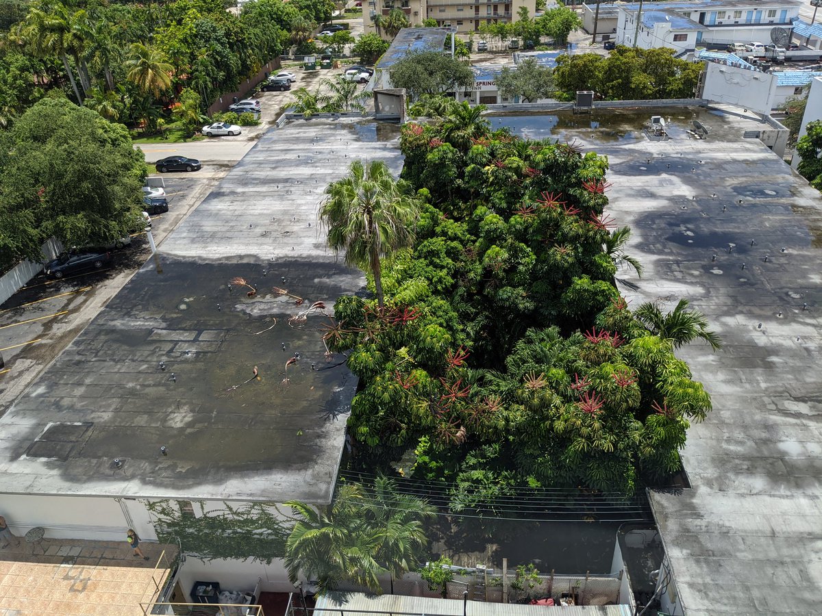 gosnaux's tweet photo. I'm pretty sure there's a courtyard under those trees. https://t.co/6vpIEh9fLZ