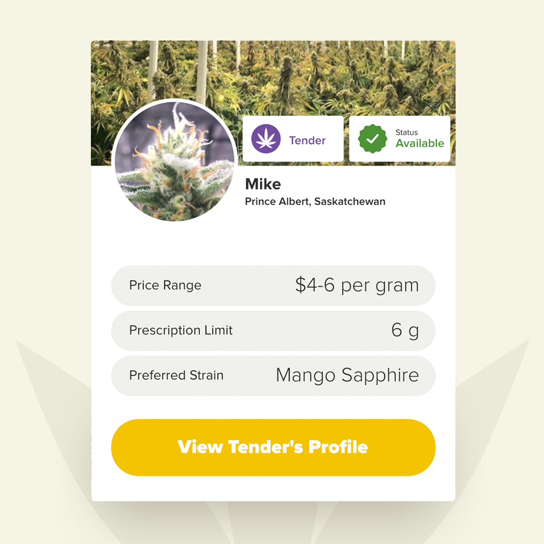 Weetender's tweet photo. Meet Mike: Home is Prince Albert where he grows Northern Lights under the Northern Lights. A strain considered by many to be one of the best antidotes a bout of anxiety #acmpr #canadacannabis #hightimescanada, #medicine #painrelief #growyourown #anxiety #weetend #mentalhealth https://t.co/ffkxAZDwgh