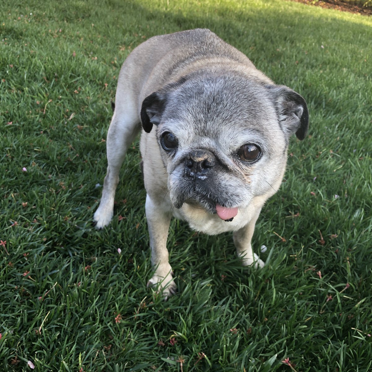 Tweets A B C D E F G H I J K L M N O P Q R S 1 Tweet Id Text Name Screen Name Utc Created At Favorites Retweets Language Client Tweet Type Urls Hashtags Mentions Media Type Media Urls 2 During His Time Leading The