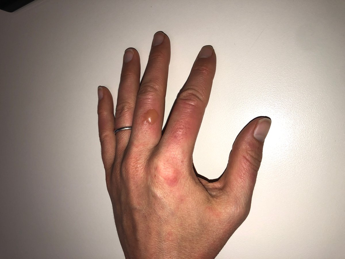 UTHSC MedPeds tweet media