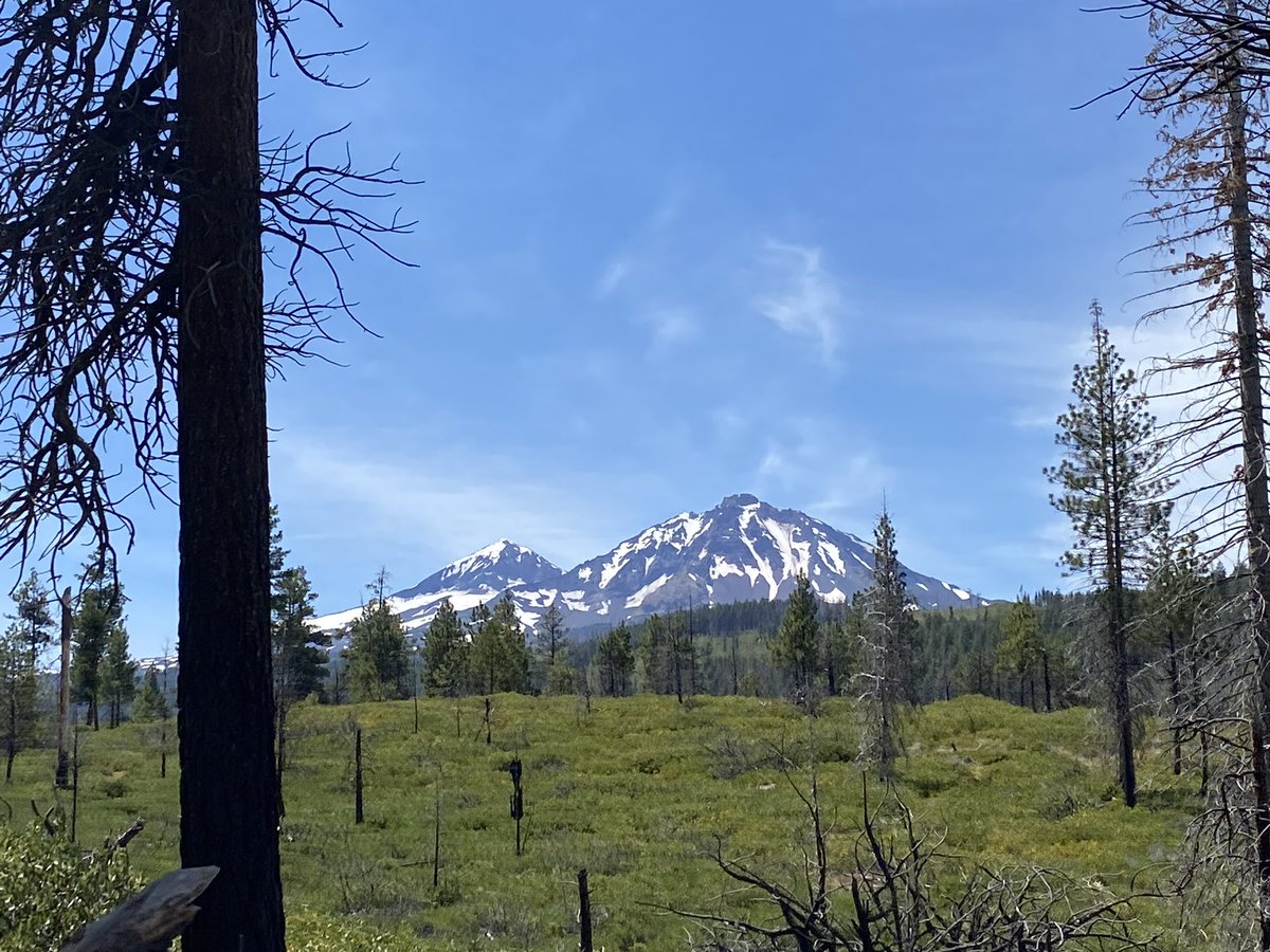 squirrellybish's tweet photo. #oregoncheck https://t.co/iQsglFwlZU