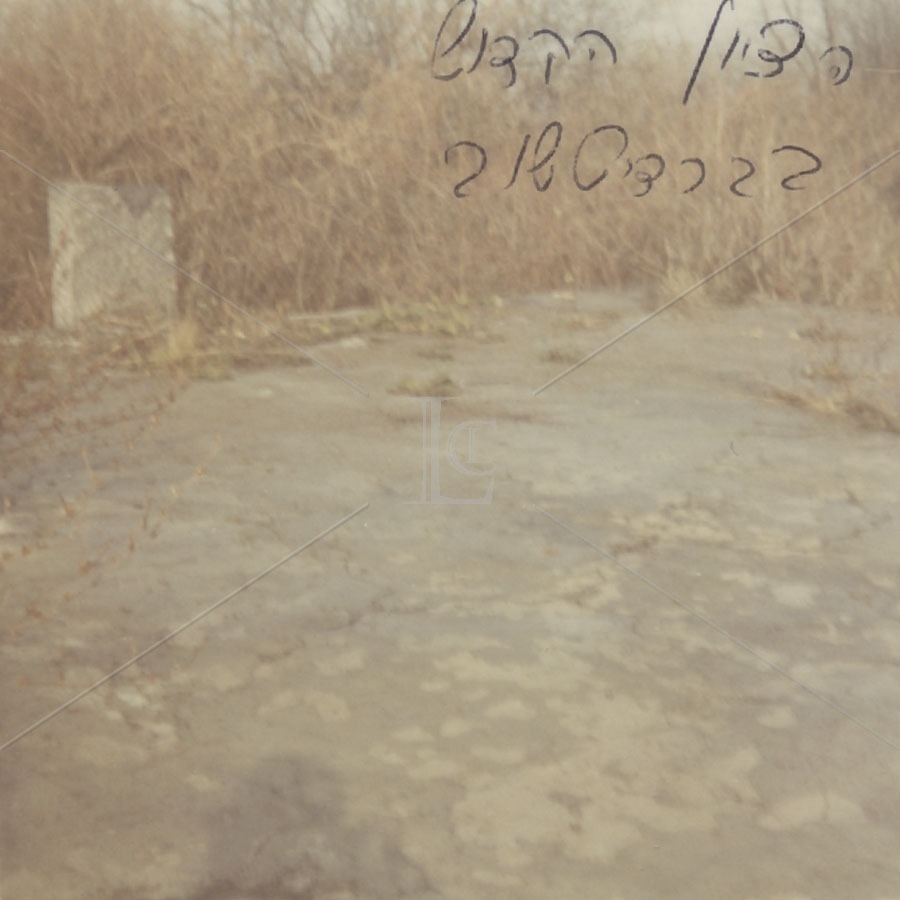 It deteriorated but survived, first the Nazis and then another 70 years of Communism. As Prof. Sofya Nayer told me, her mother would take her and her sisters to the cemetery to visit their father and then to the burial site of "a very famous man." She was afraid to say rabbi. 10