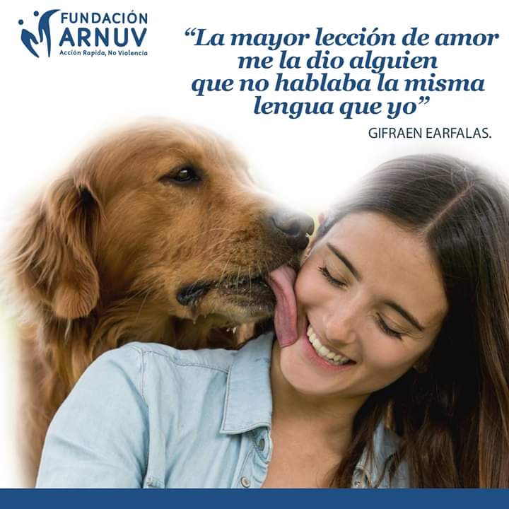 FArnuv's tweet photo. El amor como único lenguaje #Violeta https://t.co/2kL5R4THsF