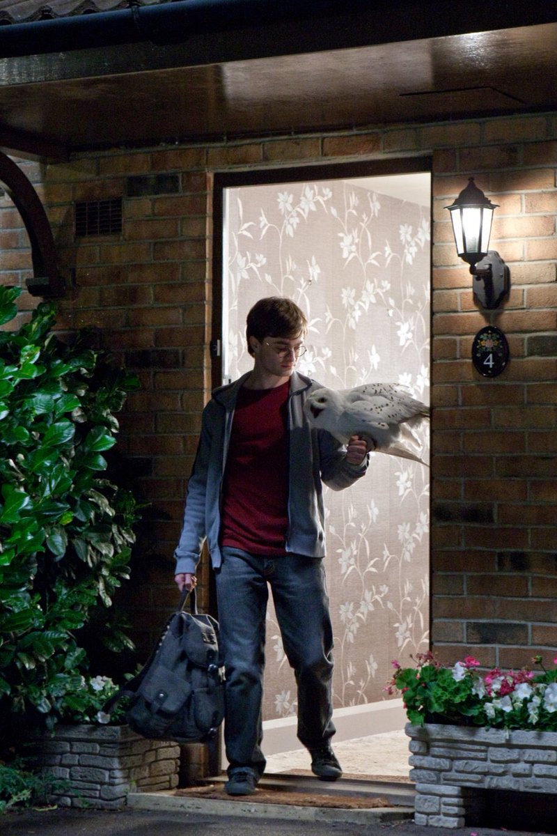 HPotterUniverse's tweet image. RT if you're still not over Hedwig's death.

#RIPHedwig