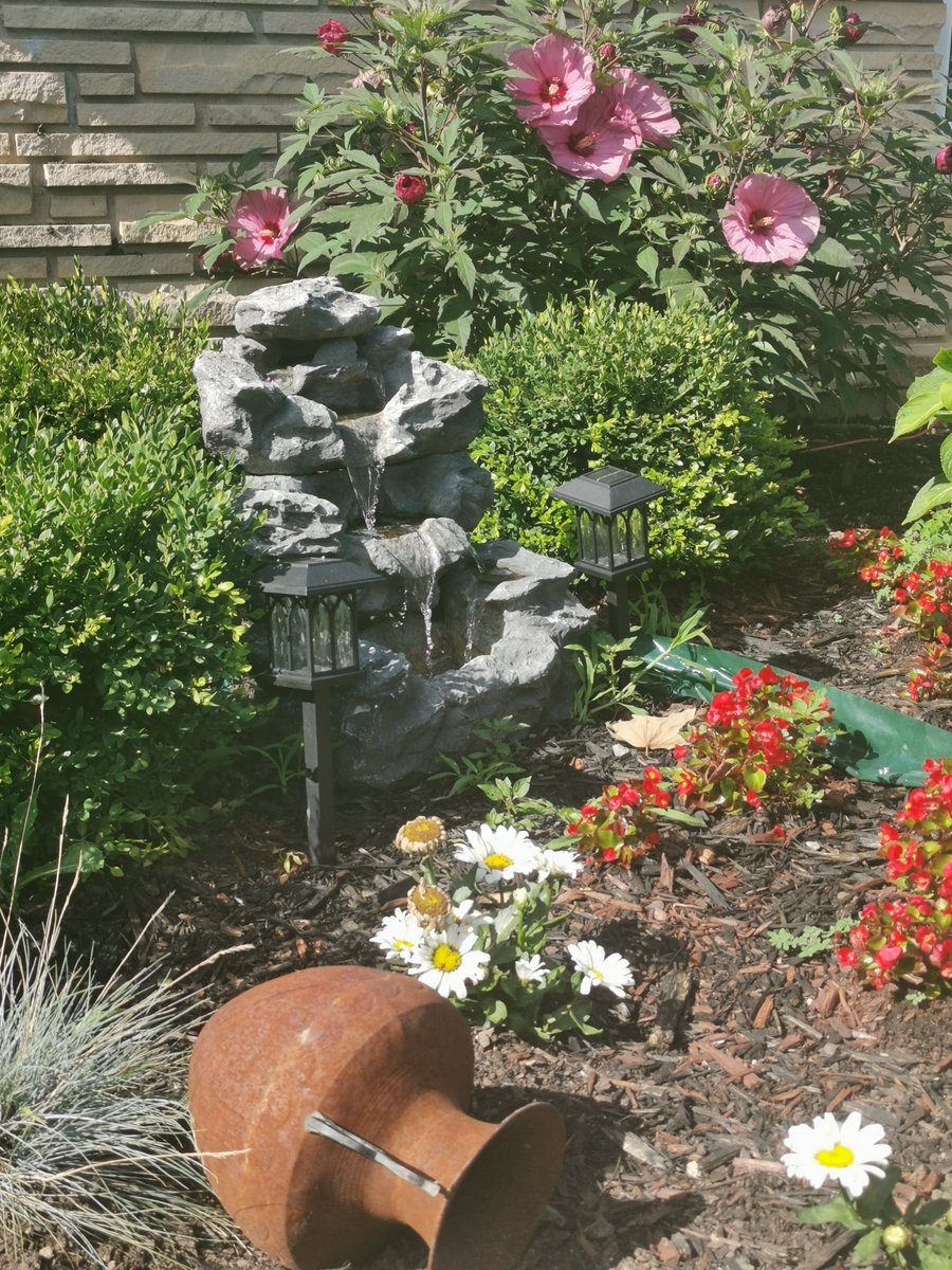 monica smith tweet media