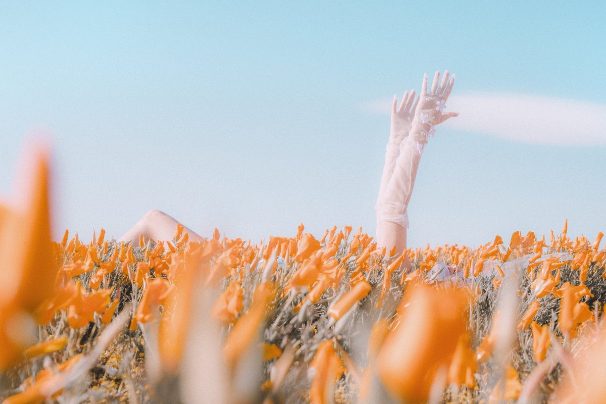 when she was in the trenches of heartbreak, mandy visited the superbloom in california last year and felt a vivid connection to the poppies thriving in the desert; a place where nothing is supposed to grow. she herself was in a desolate, sad place — she wanted to bloom, too.