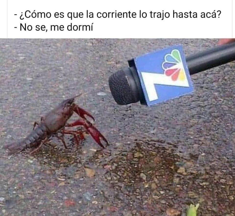 RubiRegia's tweet photo. @talatalavera https://t.co/TttWce590f