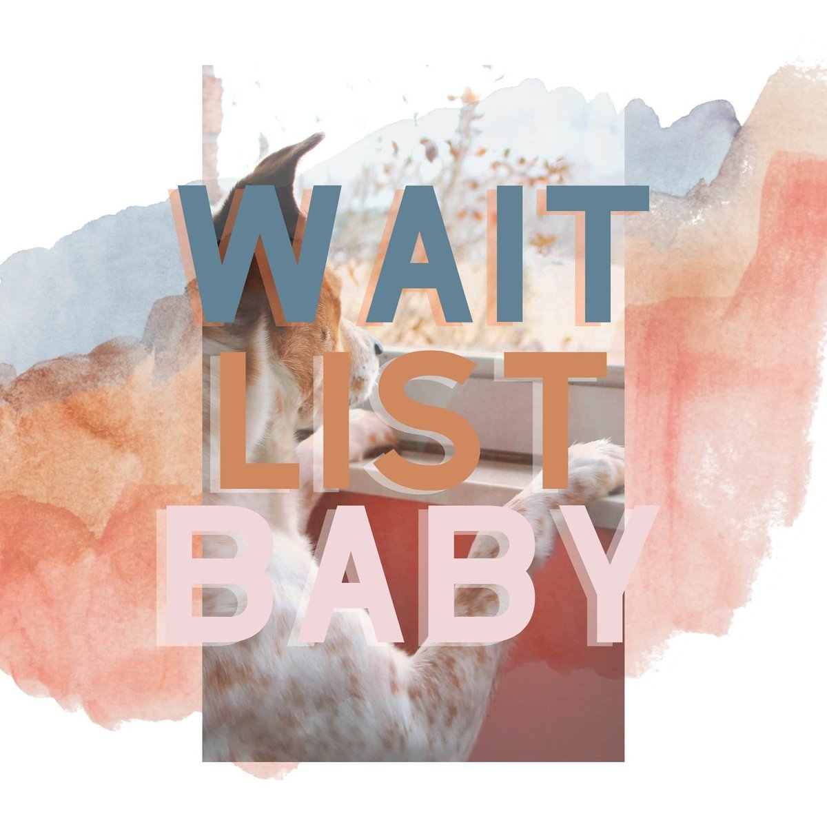 The wait is (almost!) over! Join the waitlist for Telepractice Connect to keep updated including our fall 2020 launch: telepracticeconnect.com/waitlist
I'm developing a telepractice membership site ft. discussion boards, downloads, links, continuing ed, and even discounts. 💞