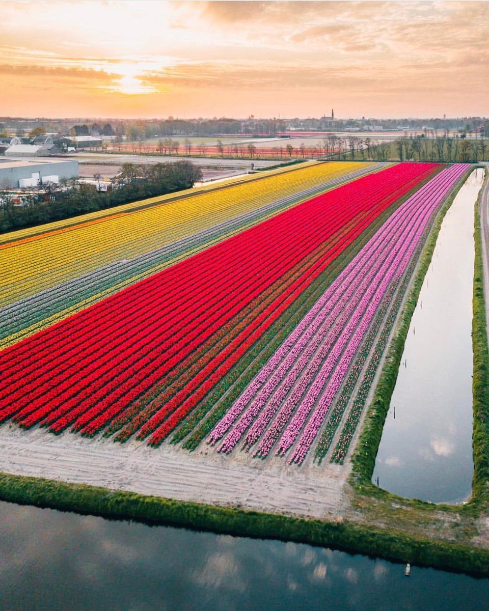 TraveIings's tweet photo. Lisse, Netherlands 🇳🇱 https://t.co/KyatzFgJsM