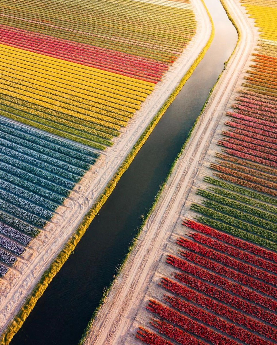 TraveIings's tweet photo. Lisse, Netherlands 🇳🇱 https://t.co/KyatzFgJsM