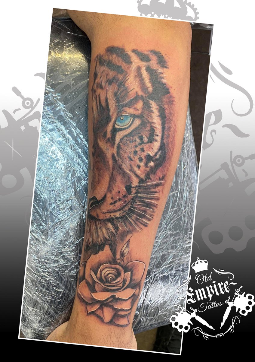 Bigcattattoo Hashtag On Twitter