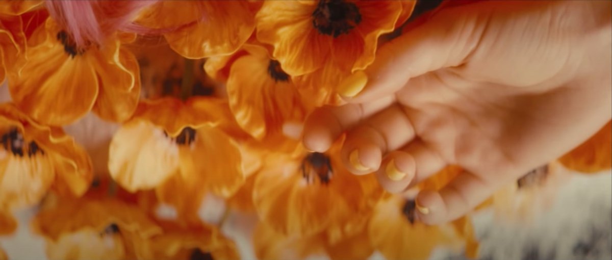 so much imagery around the album represents waking up in a field of poppies — being poisoned and falling asleep but persevering and continuing to wake up and move forward every step of the way. in fact, every music video has opened with a shot of mandy waking up among poppies.